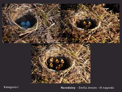 prace-nagrodzone-2018