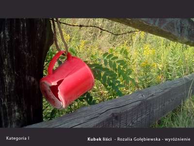 prace-nagrodzone-2018