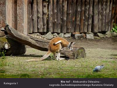 prace-nagrodzone-2018