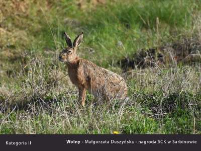 prace-nagrodzone-II-2018
