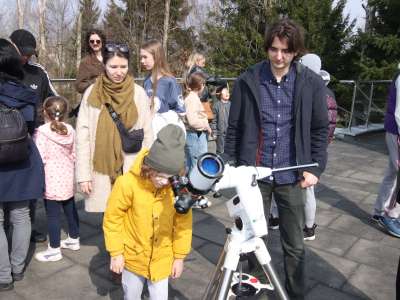 29marwykl